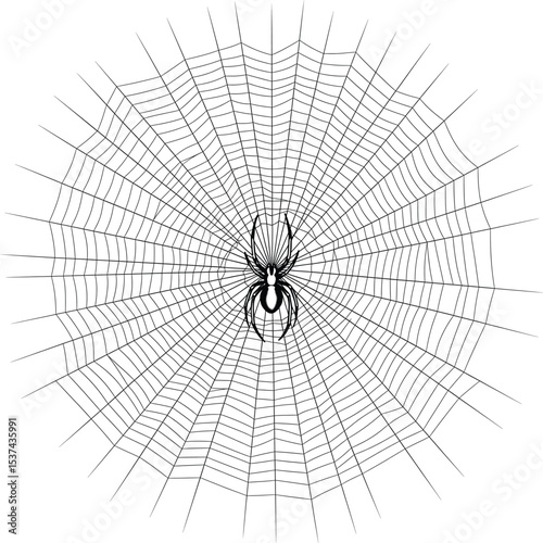 Black Spider Centered in Circular Spiderweb Illustration