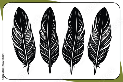 Four Black and White Stylized Feathers Graphic vector