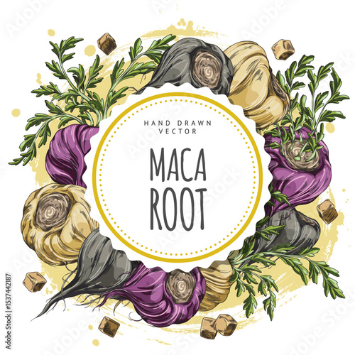 Round frame with maca roots border, yellow, black, purple, with leaves.
