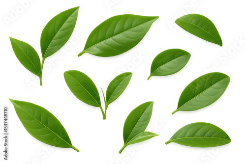 Green tea leaves cascading against transparent backdrop, enhancing beverage graphic design
