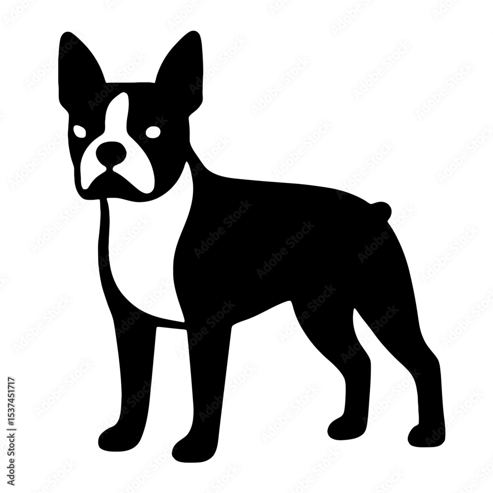Fototapeta premium very simple flat and single minimalist Boston Terrier Silhouettes