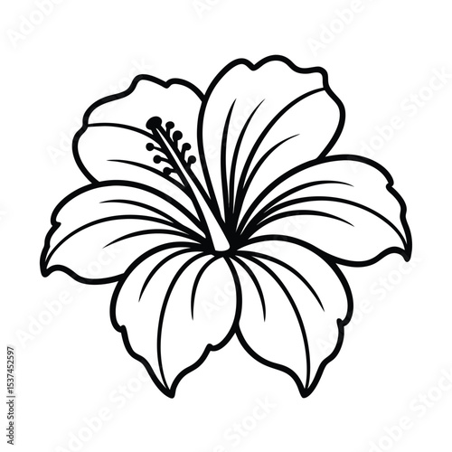 Tropical hibiscus flower blooming brightly with green leaves on white background Line art