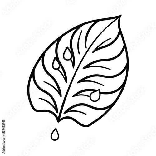 Tropical leaf with dew drops glistening in morning light on white background Line art