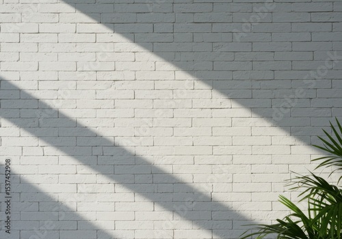 White brick wall with diagonal shadow patterns and plant