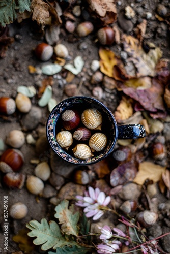 Autumn Harvest of Acorns and Chestnuts Collected in a Rustic Cup on the Fores...