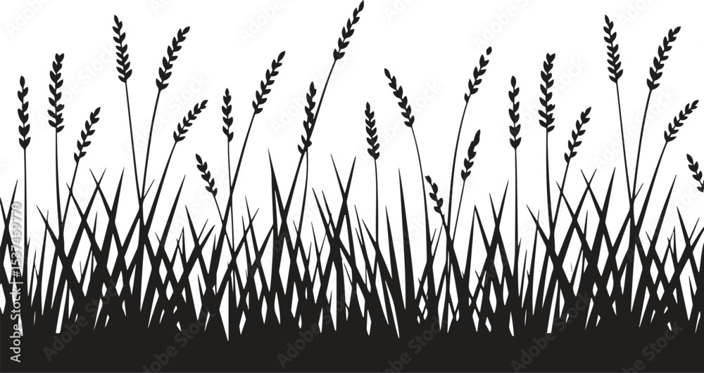 Fototapeta premium A black corn field. Maize field silhouette design vector illustration 