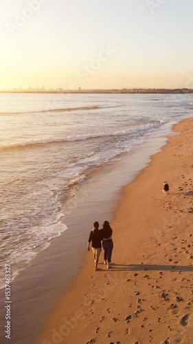 Wallpaper Mural Aerial shot of a happy couple walking and playing with their dog on the beach at sunset in Southern California. Vertical Video. Torontodigital.ca