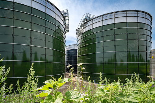Neubau einer modernen Biogasanlage , Fermenter - Hochsilos aus Stahl umrahmt von Wildkräutern.