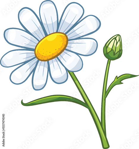 "Delicate Chamomile Blooms with Soft White Petals and Yellow Centers in a Peaceful Natural Setting"