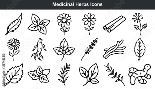 Medicinal Herb Icons Black Line Art Set