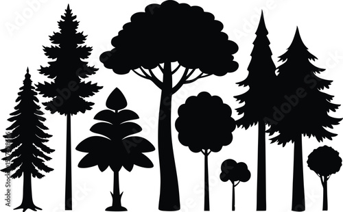 Silhouettes of various trees in a forest landscape