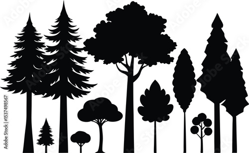 Silhouettes of various trees in a forest scene