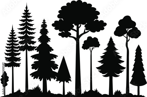 Silhouettes of various trees in a forest scene