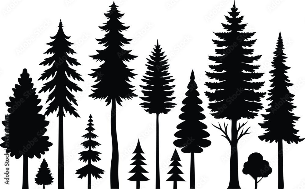 Obraz premium Silhouettes of evergreen trees in a forest setting