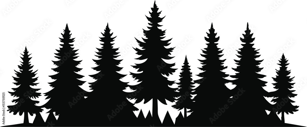 Fototapeta premium Majestic silhouette of evergreen trees in a forest
