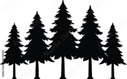 Five silhouetted pine trees winter forest scene