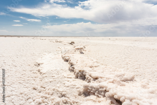 White salt marsh desert of the Aral Sea,  Uzbekistan photo