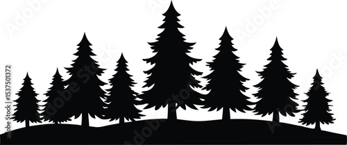 Silhouetted evergreen trees winter forest landscape