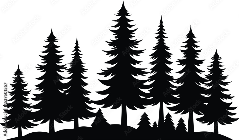 Obraz premium Silhouetted evergreen trees winter forest landscape