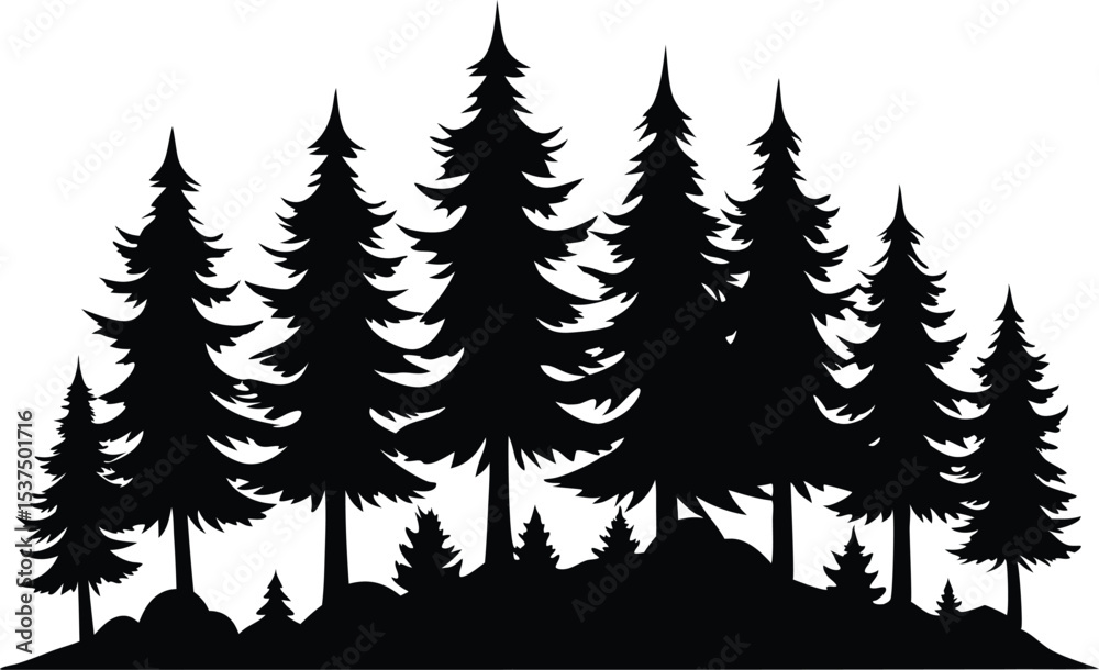 Fototapeta premium Majestic silhouette of evergreen trees in a forest