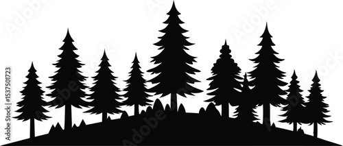 Silhouetted evergreen trees on a hilltop