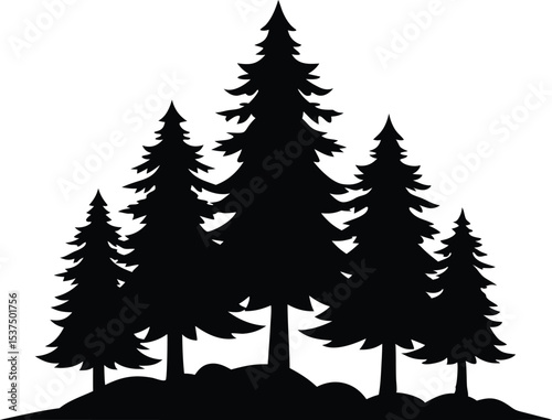 Silhouetted evergreen trees on a hillside