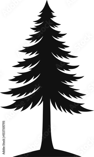 Majestic evergreen silhouette tall conifer tree nature
