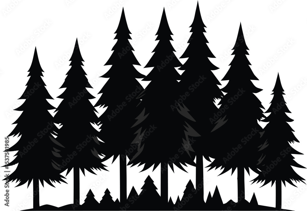 Fototapeta premium Majestic silhouette of evergreen trees in a forest