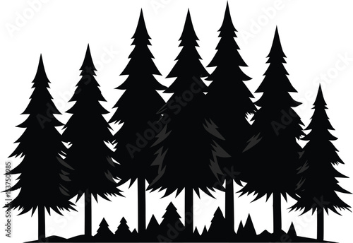 Majestic silhouette of evergreen trees in a forest