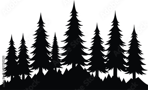 Silhouetted evergreen trees winter forest landscape