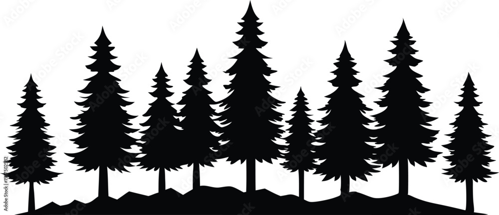 Fototapeta premium Majestic silhouette of evergreen trees in a forest