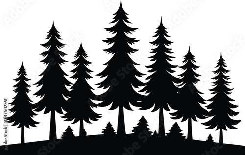 Silhouetted evergreen trees winter forest landscape