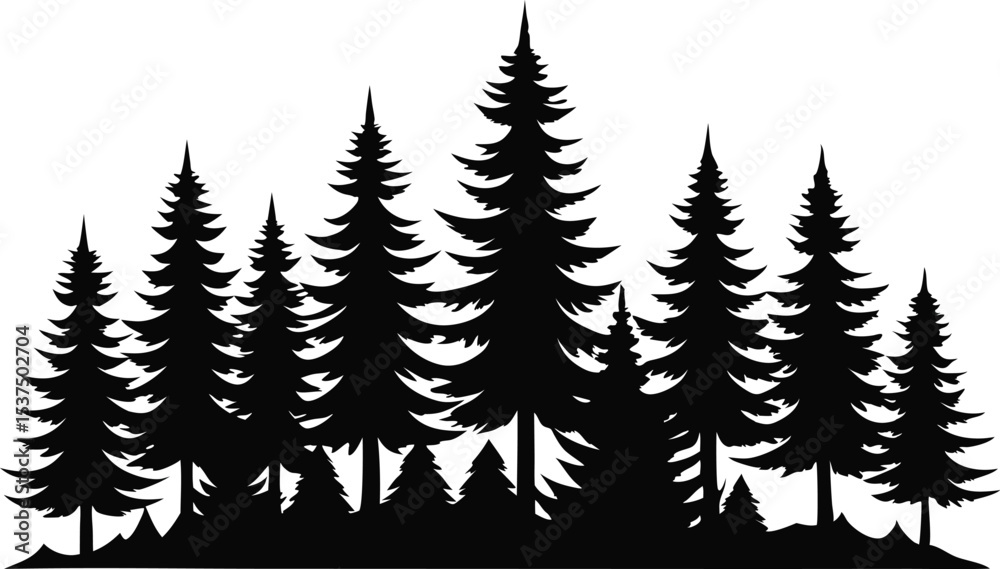 Obraz premium Majestic silhouette of evergreen trees in a forest
