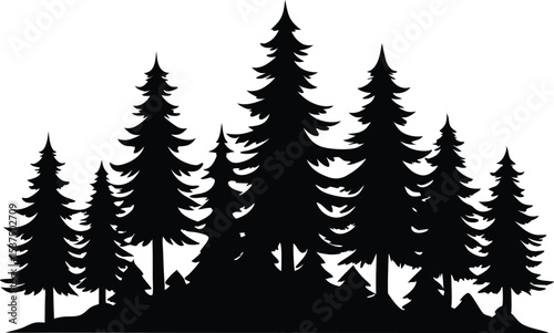 Majestic silhouette of evergreen trees in a forest