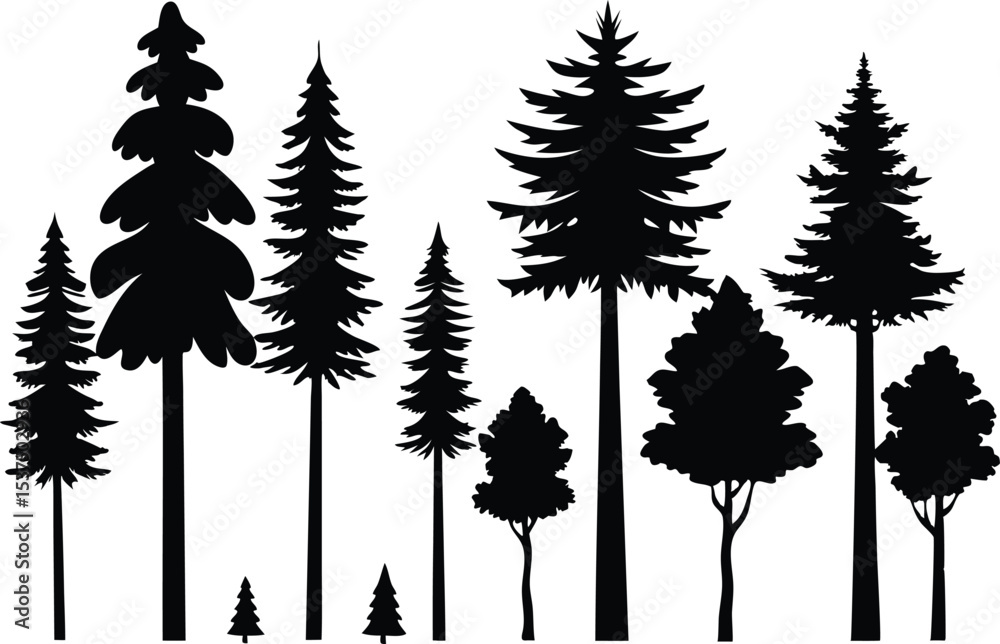 Fototapeta premium Silhouettes of various evergreen and deciduous trees