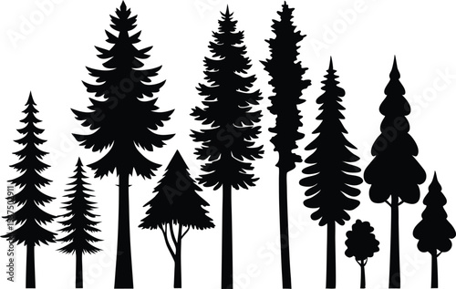 Silhouettes of various evergreen trees in a forest
