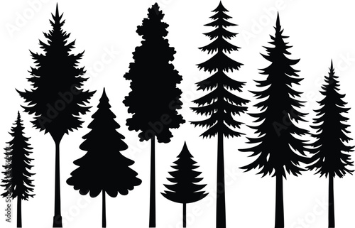 Silhouettes of various evergreen trees in a forest