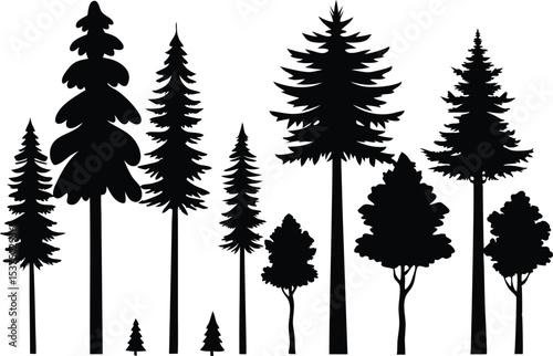 Silhouettes of various evergreen and deciduous trees