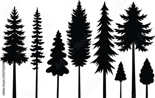 Silhouettes of seven evergreen trees in a row