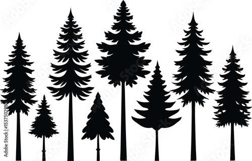 Silhouettes of seven evergreen trees in a row