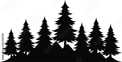 Silhouetted evergreen trees on a hillside