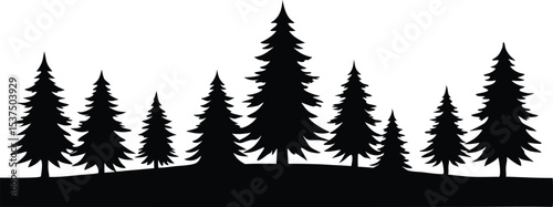 Silhouetted pine trees winter landscape forest nature