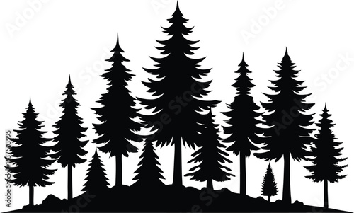 Silhouetted pine trees forest winter landscape nature