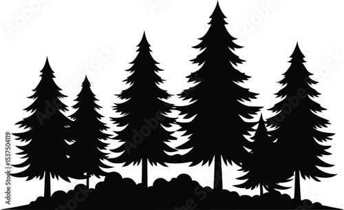 Silhouetted evergreen trees winter forest landscape