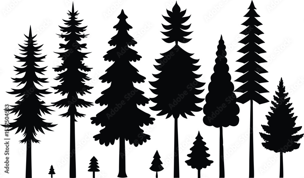 Fototapeta premium Silhouettes of various evergreen trees of different sizes