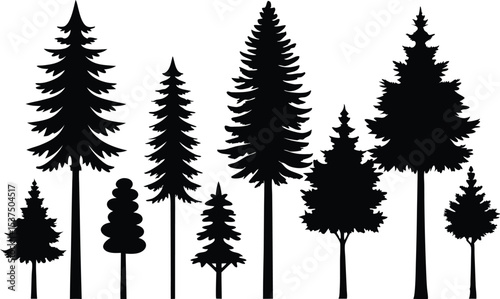 Silhouettes of various evergreen trees in a row