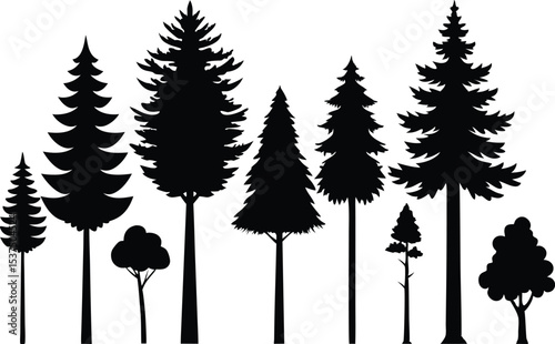 Silhouettes of various evergreen and coniferous trees