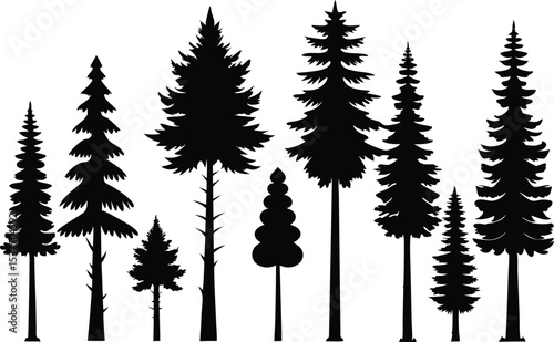 Silhouettes of various evergreen trees tall and short