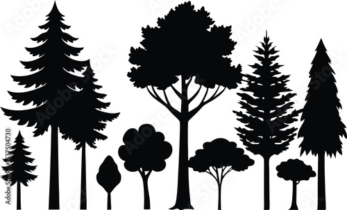 Silhouettes of various trees in a forest scene