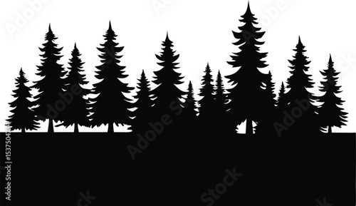 Silhouetted evergreen trees forest winter landscape